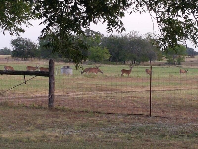 1st image of 10905 S Fm 1915 Fm 1915