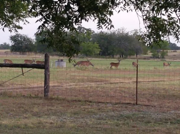 10905 S Fm 1915 Fm 1915, Buckholts, TX 76518