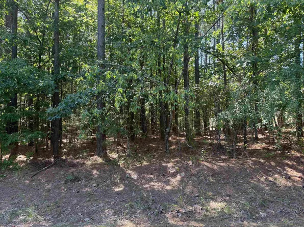 LOT 3 Panorama Dr, Hot Springs Village, AR 71909