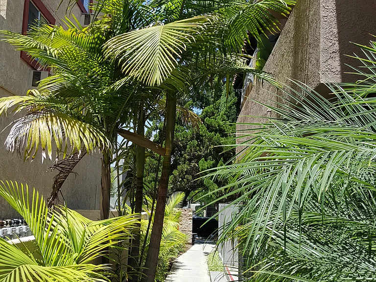 1410 Venice Blvd #6 — Photo 19