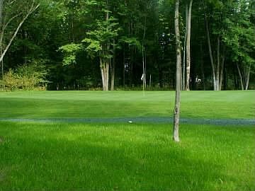 View of Golf Course