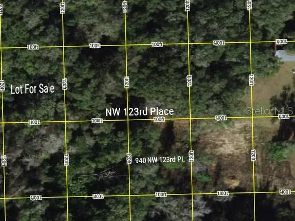 NW 123rd Pl Lot 41, Citra, FL 32113
