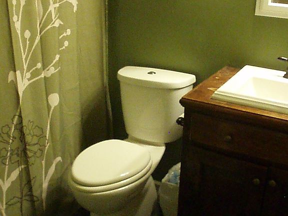Dual Flush watersense toilet