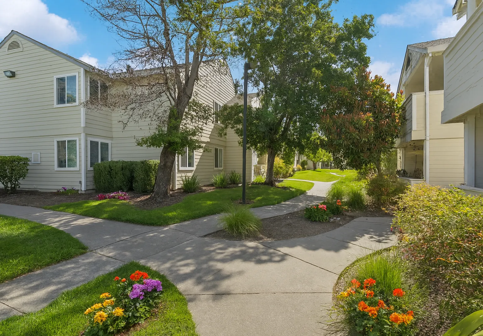 Emerald Pointe — Photo 4