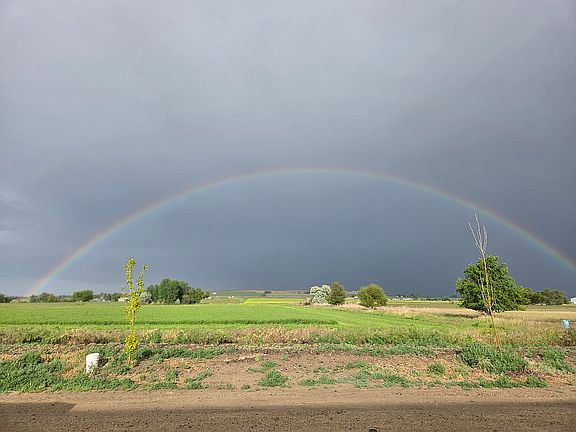 4th image of 1932 Miller Rd