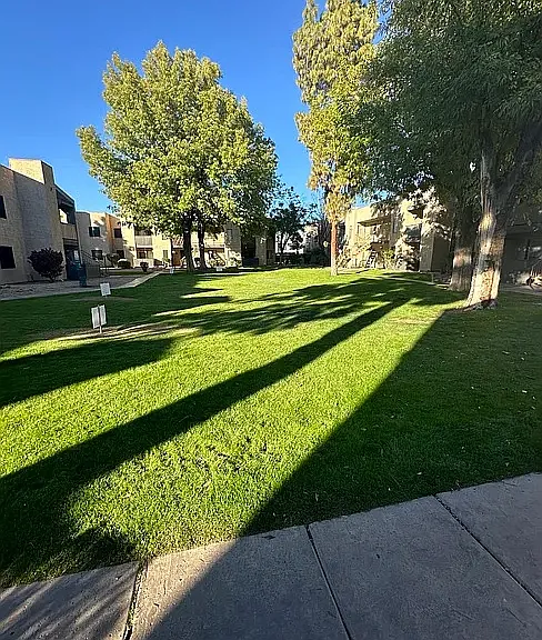 Cedar Creek Condominiums — Photo 12