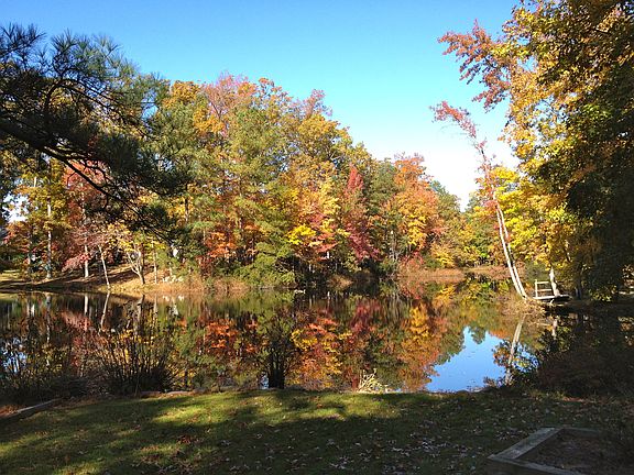 2nd image of 311 Summerlake Ln