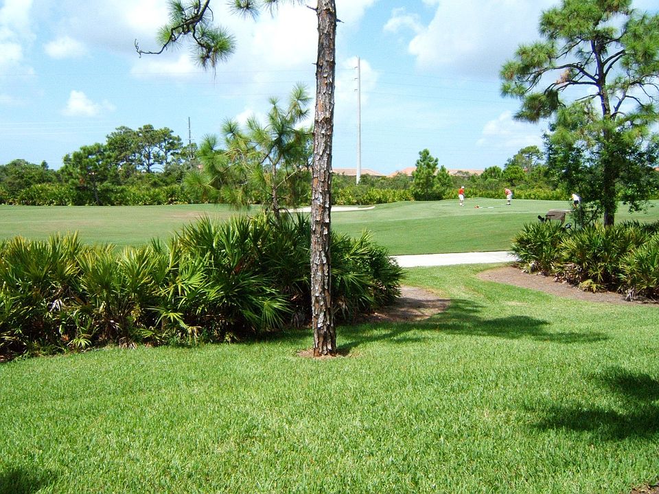 Golf View