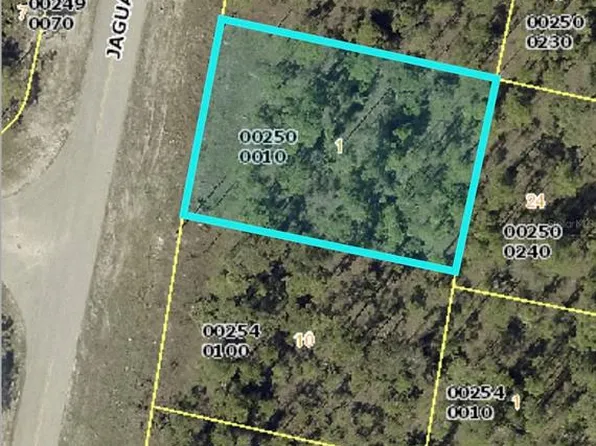 436 JAGUAR BOULEVARD LOT 1, LEHIGH ACRES, FL 33974