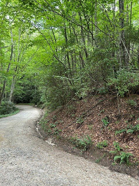 2nd image of 0 Coman Rd Lot 2