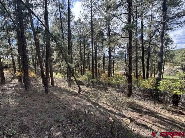 510 Alpine Forest Drive, Bayfield, CO 81122