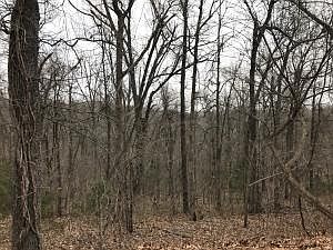 5th image of LOT 21a&b Dogwood Ln