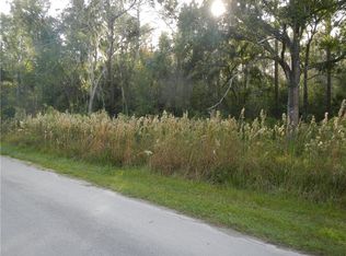 Clementine Ln, Wesley Chapel, FL 33543