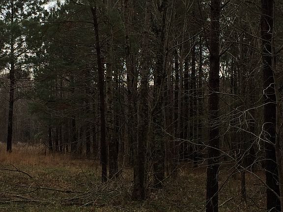5th image of 1001 Old Highway 20 Ln