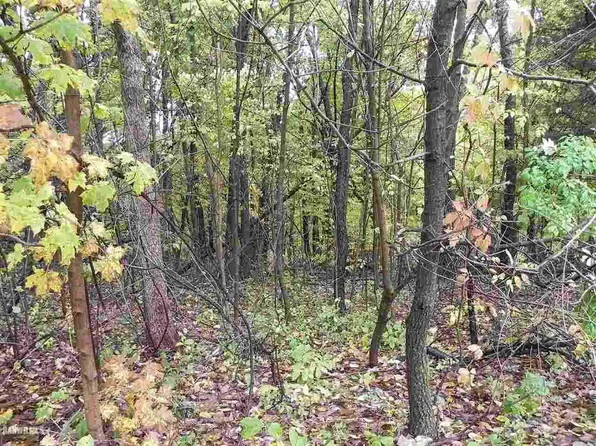 23 Stony Point, Galena, IL 61036