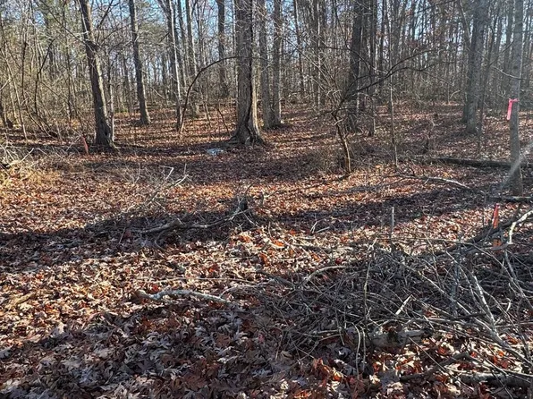 0 Cox Mill Rd, Gordonsville, VA 22942