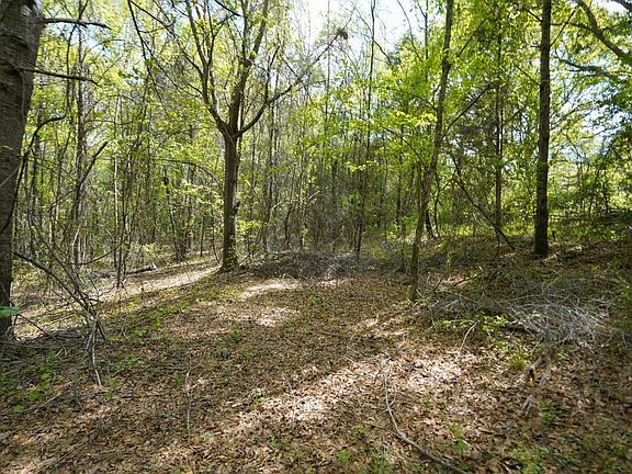 5th image of 0 Cantrell Dr