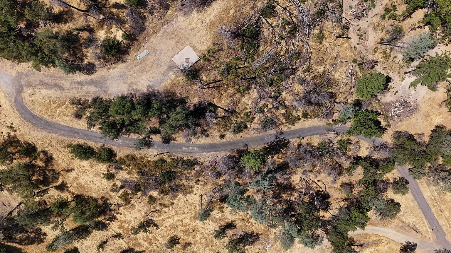 14020 Windfall Dr photo 1