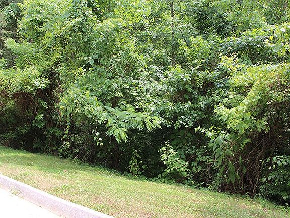 3rd image of LOT 84 Smoky Cove Rd Lot 84
