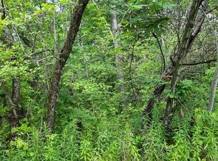 1641 State Route 44 S, Shinglehouse, PA 16748