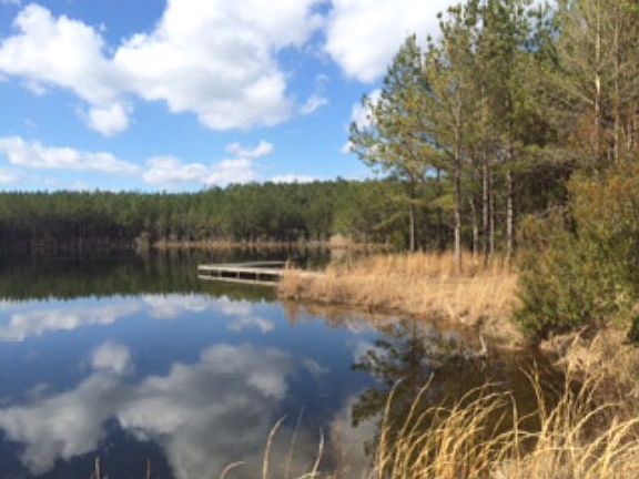 3rd image of 0 Millcreek Road