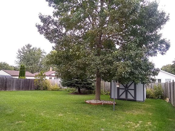 Shed in back yard