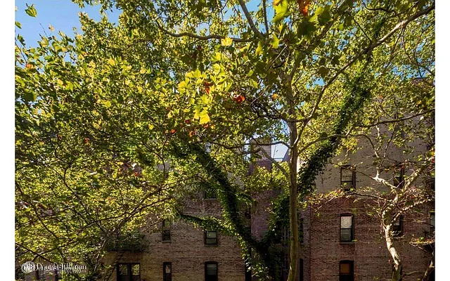 Sold by Douglas Elliman | media 6