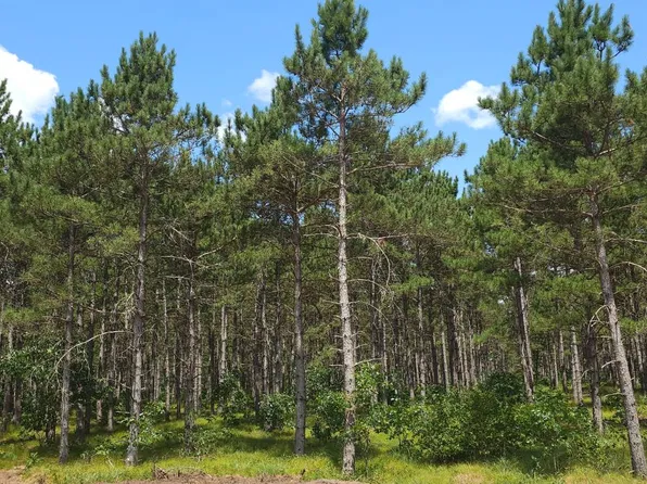 5 Hidden Trl, Nekoosa, WI 54457