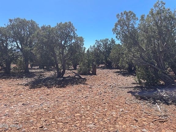 5th image of 0 Show Low Pines Unit 8 Lot 346 Road #346
