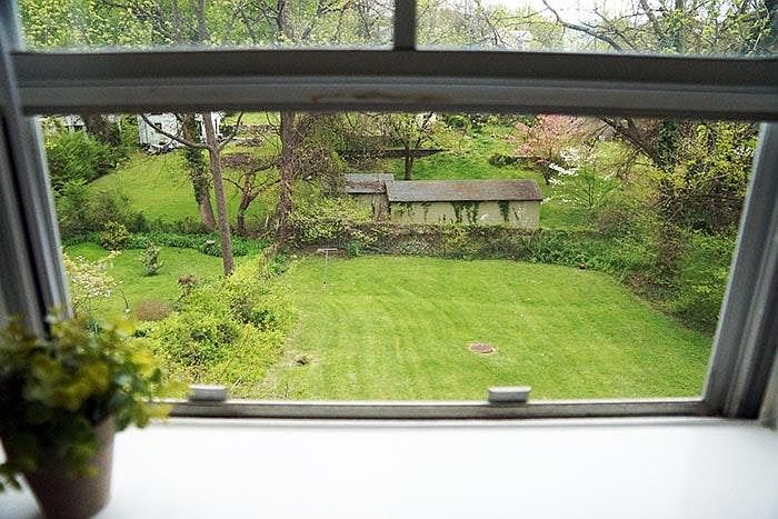 Back yard