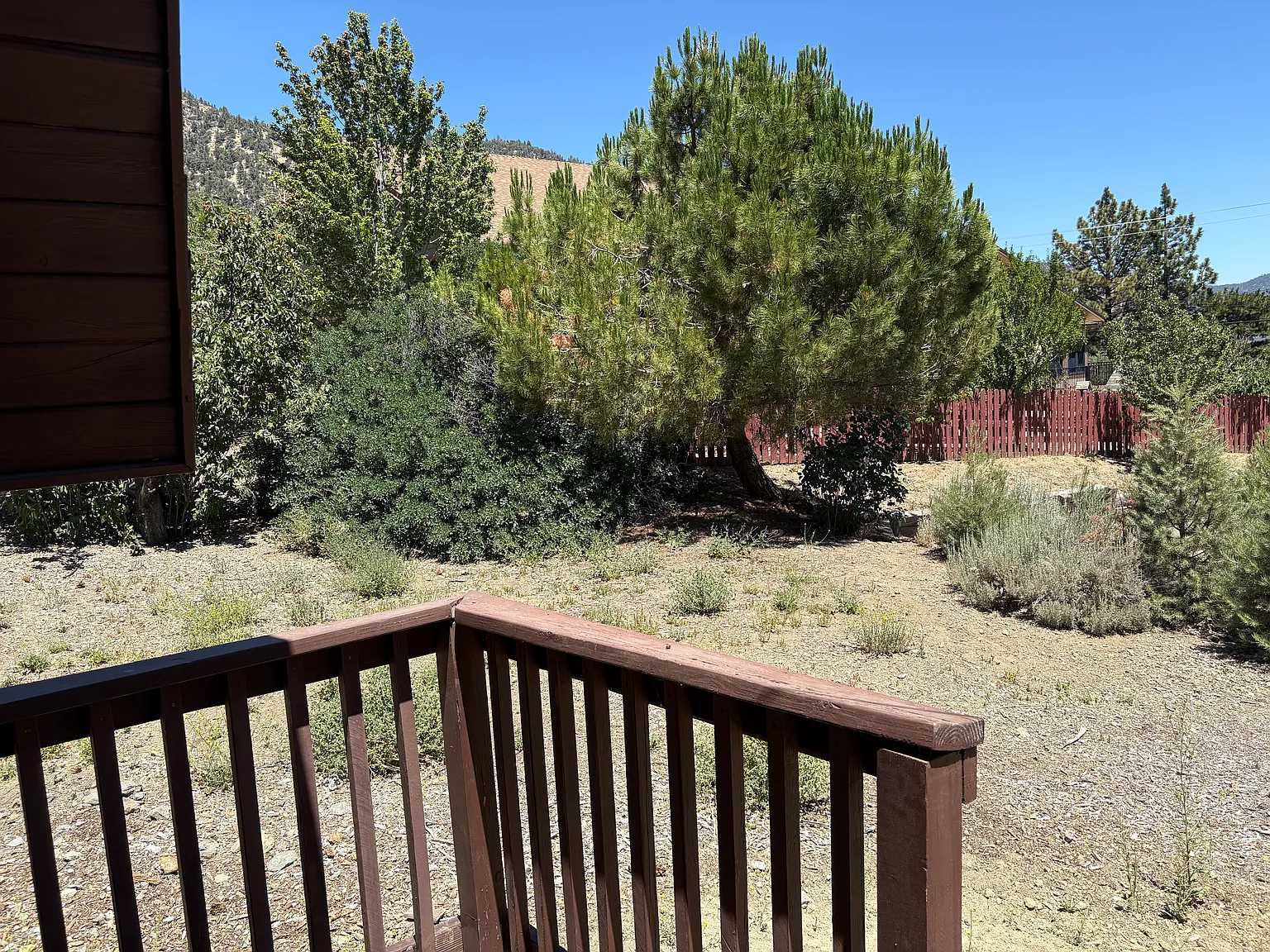 2 bed, 600 sqft, $1,350 — Photo 4