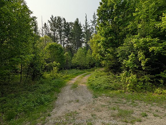 3rd image of 0 Woods Rd