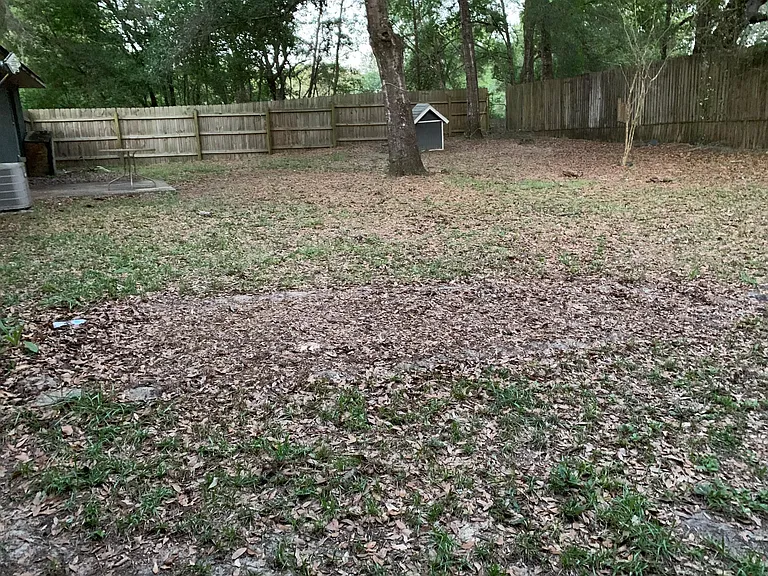 Back yard