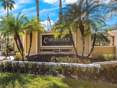 5125 Palm Springs Blvd Unit 2303, Tampa, FL, 33647