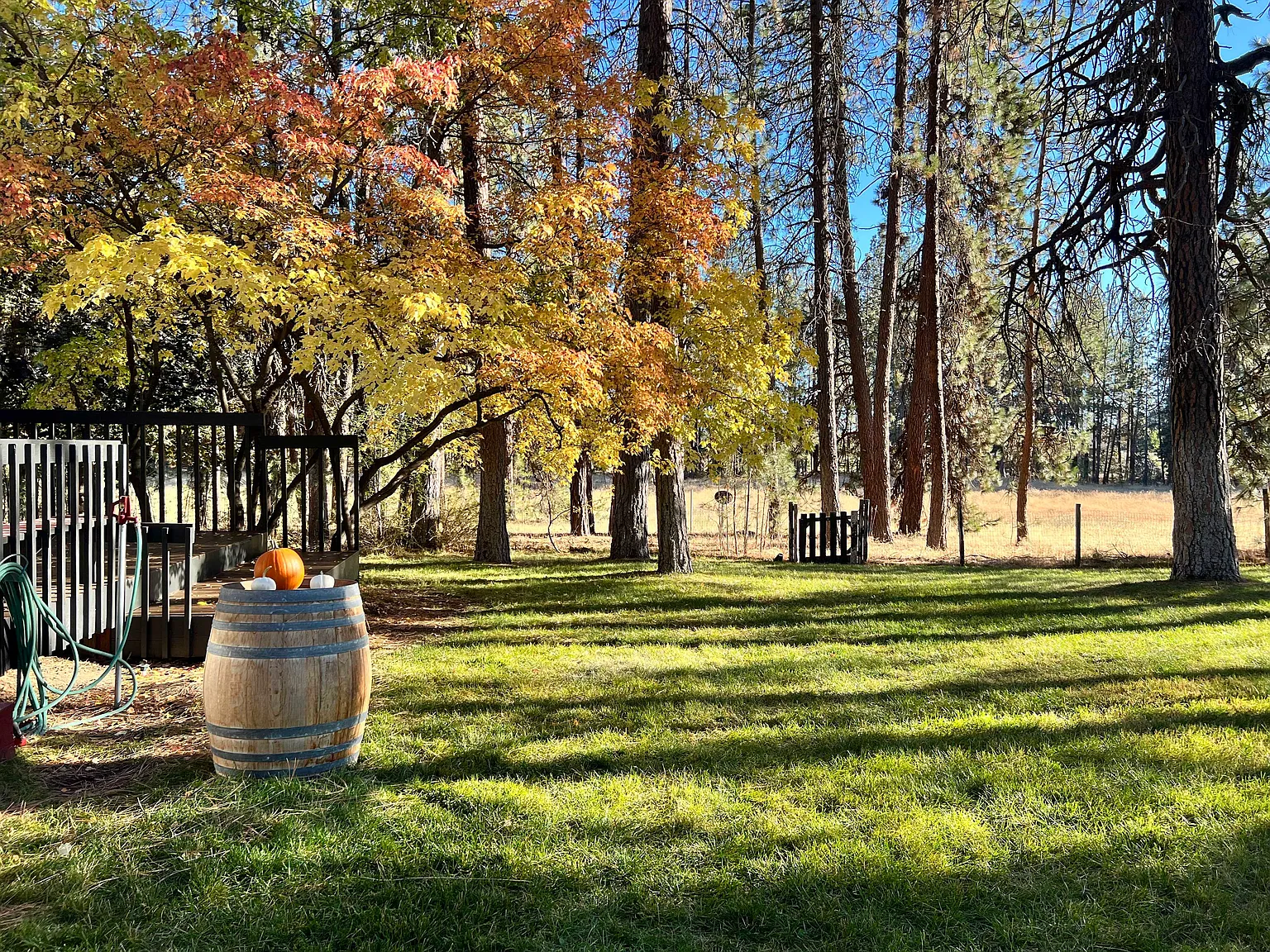 Peaceful Country Living — Photo 2