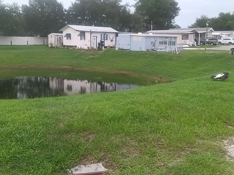 Lake in the community