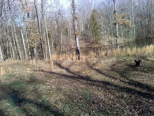 2nd image of 643 Christian College Rd