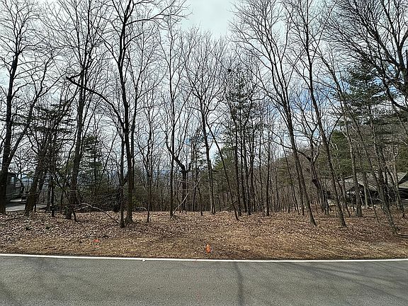 4th image of 0 Ridgeview Dr #8059