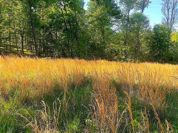 5th image of Nixon Rd