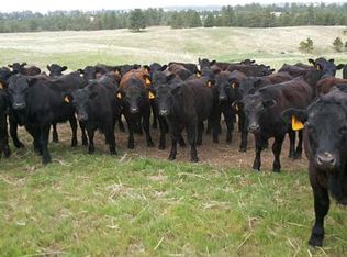 680 Saw Log Rd, Crawford, NE 69339