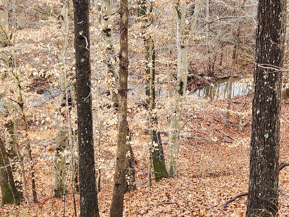 2nd image of LOT 6 Brooks Mill Rd