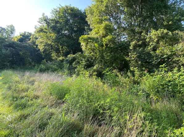 8262 John Steele Rd, Robards, KY 42452