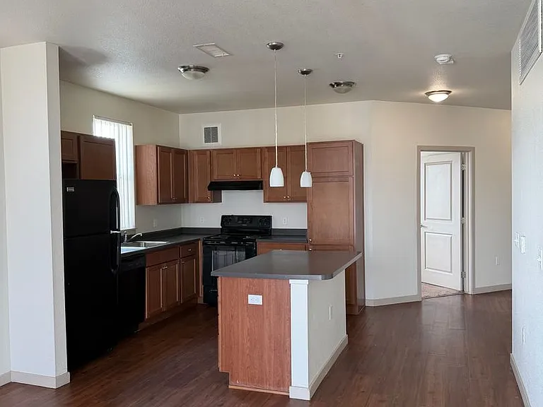 1305 N Peoria St — Photo 61