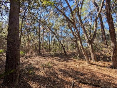 Lake Margaret Blvd Lot 305, Pomona Park, FL, 32181