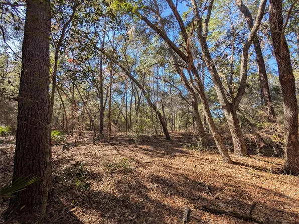 Lake Margaret Blvd Lot 305, Pomona Park, FL 32181