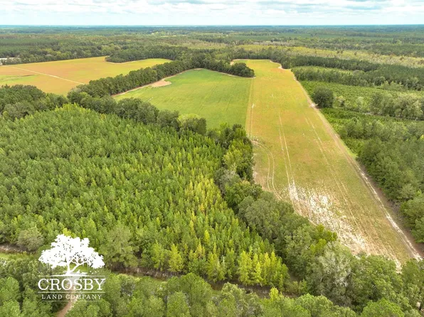 Driggers Rd, Blenheim, SC 29516