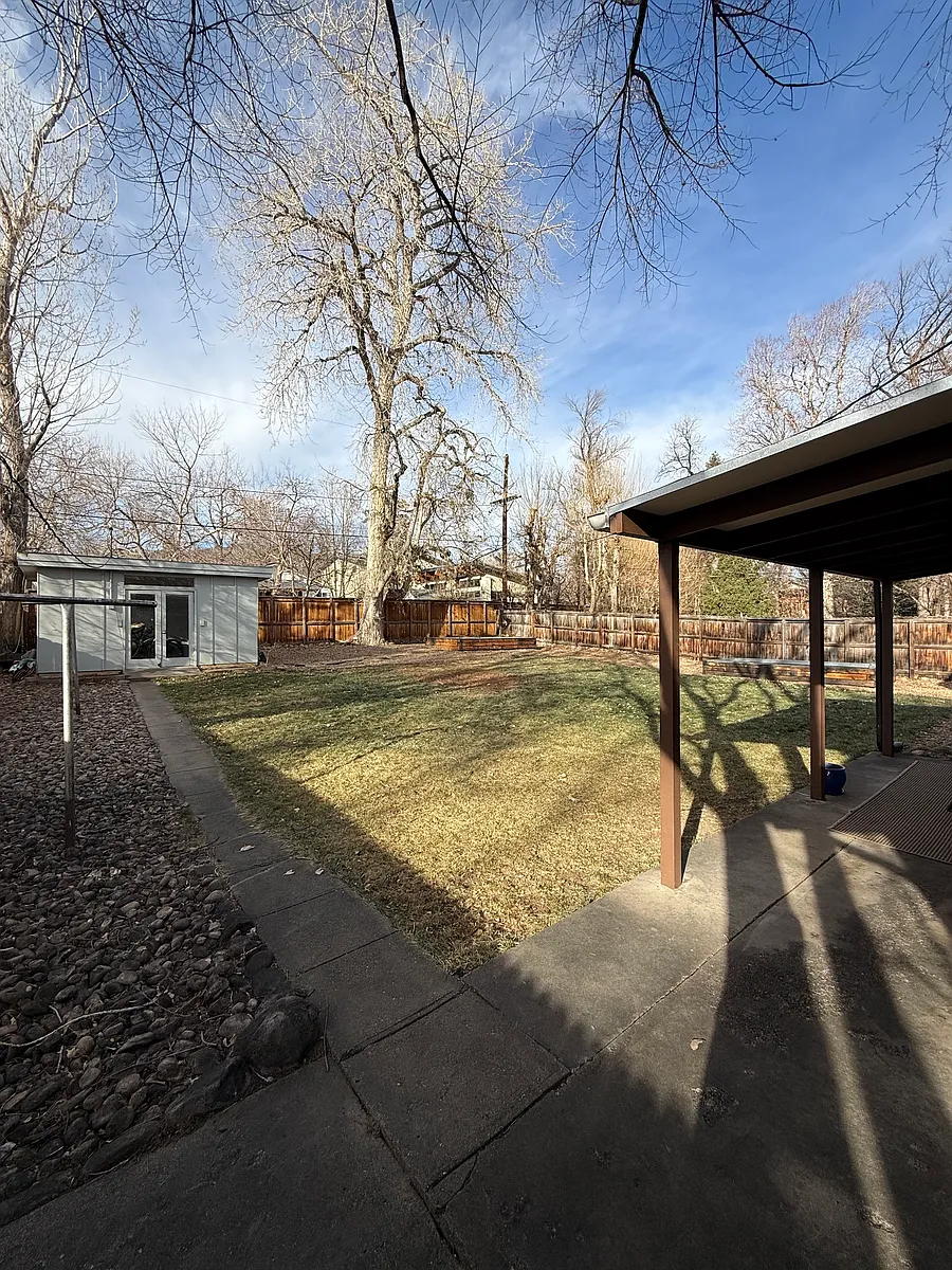 Backyard - 2915 19th St