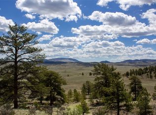 Black Beaver Road Keechi Rd, Hartsel, CO 80449