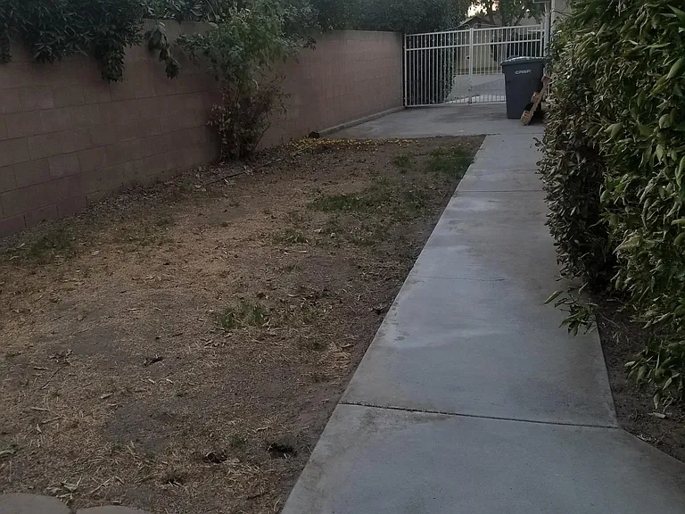 SIDE YARD