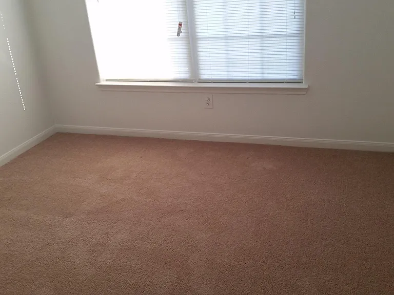 528 Misty Mountain Dr — Photo 5